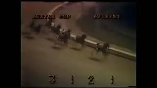 1982 Roosevelt Raceway - Mystic Park & Frank O'Mara - Dexter Cup