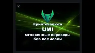 #Roy club #Umi Мнение обывателя