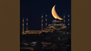 Moonlit Nights