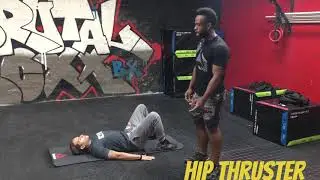 Hips, Glutes,  and Back