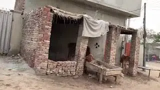 fasalabad ka mushur pind sidhupura