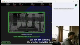 I walk you through BIRD, an AI Augury experiment