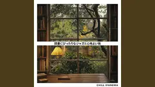 Tranquil Rain Immersive Tales