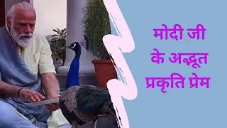 Narendra Modi's emotional moments with peacock at PM resident
