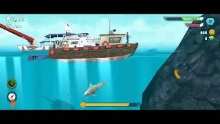 hungry shark evolution, Ubisoft (Video Game Developer), Shark (Animal)