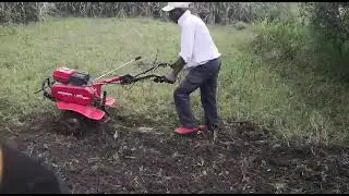 Honda FQ650 Tiller machine in Nigeria