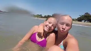 crab cove 2017