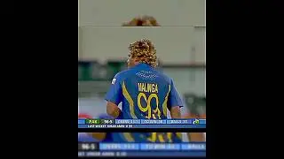 Lasith Malinga ⚡ Afridi Clash #viralshorts