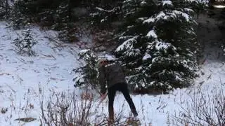 Powder Hounds