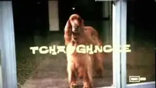 Chauncey