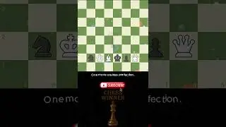Find the Pretty Mate in 2 ♟️ #41🔥 | Chess Winner #chess #shorts #checkmate #brilliant