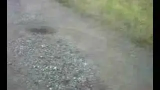 donuts with a popped tyre