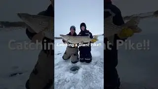 Помогаем клиентам добраться до гигантов!! #fishshimano #fishfrostbite #fxr