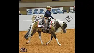 SHR QTS DIAMONDCUTTER shown by KAITY SOTOMAYOR   2021 APHA World Championships Ranch Pleasure