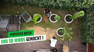 So kommst du (einfach) zum Traumrasen - AERIFIZIEREN, BEL&Uuml;FTEN und SANDEN 🌱