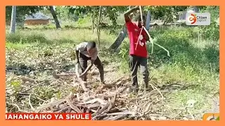 Ndugu wawili pacha wakosa kurudi shuleni