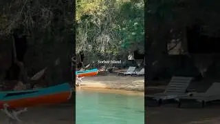 Island Vibes🏝️| Sober Island | Travel Srilanka 🇱🇰#shorts  #soberisland #travel