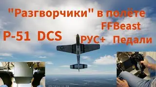 DCS P-51 + FFBeast 