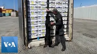 Italian Police Find $880 Million of Cocaine in Banana Crates | VOA News