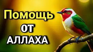 💖 ОЧЕНЬ СИЛЬНЫЙ ДУА - Аллах дарует выход из любой трудности! 🤲✨💯