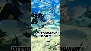 Pierwsze nurkowanie na Cyprze, czyli jak zacząć dobrze wakacje #ipadivers #nurkowanie #cypr