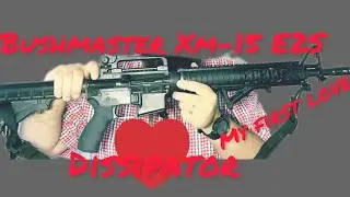 My First Love- The Bushmaster XM-15E2S Dissipator