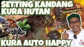 HOW TO PROPERLY SET UP A FOREST TORTOISE CAGE | YOUR TORTOISE WILL BE AUTOMATICALLY HAPPY