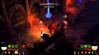 Diablo 3 - Nemesis Fight
