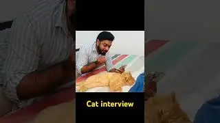 India&rsquo;s First CAT Interview! 😹 | Unfiltered Meow Moments 🐱🎤