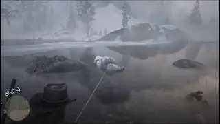 Legendary Animal Bison Have BUG - [RDR2] 