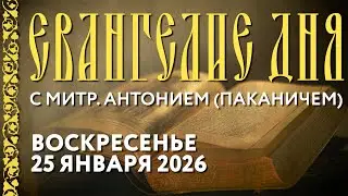 Толкование Евангелия с митр. Антонием (Паканичем). Воскресенье, 25 января 2026 года.