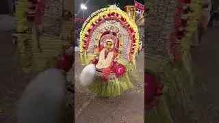 Koddabbu kola adyar padavu 2022