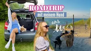 8h ROADTRIP MIT MEINEM HUND ANS MEER 🐶🌊 🚗 // Miss Aliana
