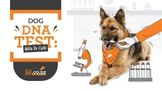 Dog DNA Test: How do Dog DNA Tests Work and What Can They Reveal About a Breed?