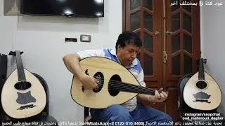 تقاسيم مع رباعيات الخيام Oud بريشة سيد منصور عود من صناعة محمود داغر تسلسل (B90)
