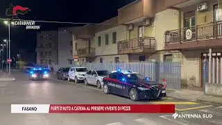 11 GENNAIO 2026   FASANO   FURTI D'AUTO A CATENA AL PRESEPE VIVENTE DI PEZZE