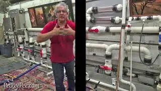 Guarantee Urine odor Persian rug Removal Service