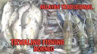 NELAYAN TRADISIONAL MENANGKAP UDANG ESPOR DAN IKAN ALAT TANGKAP MINI TRWALING!