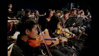 Los instrumentos de la Orquesta.