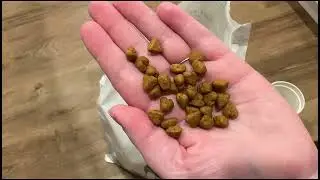 This is the ONLY Cat Food we trust for years!