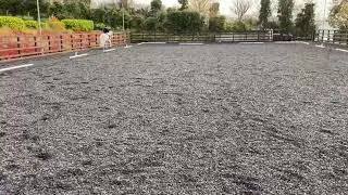 Brc Christmas cracker virtual dressage Laura Evans and Milo no 440 Sixmile Water R C