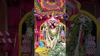 jay Jagannath 🙏🏻😘😭💗#luckysvlog #trendingsong #trendingshorts #jagannathbhajan shorts #shortsreels