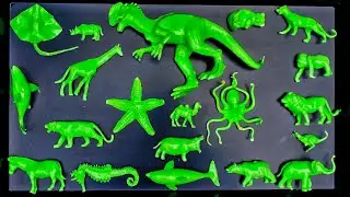 Membersihkan mainan hewan, dinosaurua, badak, hiu, gajah, singa, unta, pari, zebra, harimau, panda