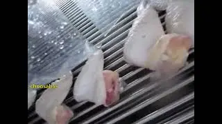 Automatic  Bird Meat saline injection machine