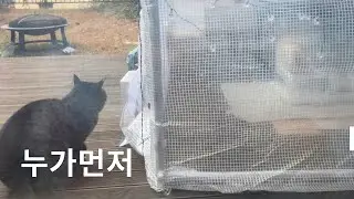 누가 먼저 머무는가