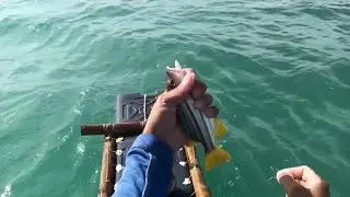 Traditional Handline Fishing in the Philippines 