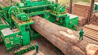 Inside the Largest Wood Sawmill Factory – How Plywood Is Made From Logs to Table (Full Process)