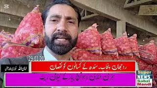 January 29, 2026 Today Onion Lahore 📉 | Sabzi Mandi Live Update | پیاز کا ریٹ کیا آج کاشتکار بازار