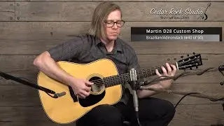 2017 Martin Custom Shop D-28 Limited Run (Brazilian Rosewood/Adirondack Spruce) #40 of 50