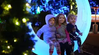 Garden of Lights